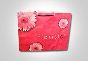 High Quality Promotional Bags